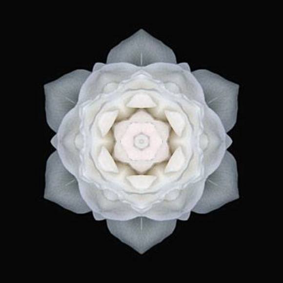 Meet your Posher, Elizabeth - Picture 1 of 1